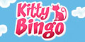 kitty bingo-120x60